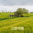 고창여행 고창읍성 선운사 고창청보리밭 축제 후기