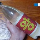 왕막걸리 이미지