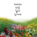 ＜신간＞ 고난의 삶을 이겨낸 사람들의 이야기! 「저마다 다른 삶이 있기에」 (허묵음 저 / 보민출판사 펴냄) 이미지