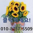 에이아이씨 이미지