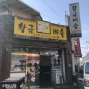 황금벼슬 이미지