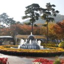 대구수목원 이미지