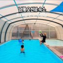 남해뜰펜션 | 남해 풀빌라 펜션 오션뷰 바베큐 대형 수영장 숙소 추천