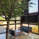 성주읍성주체육관(저단) | 성주 카페 - 리버스/ 성주디저트맛집