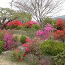 일심농장 이미지