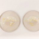 안경랜드(영운점) 이미지