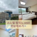 울산세일여행사주 | 속초 설악산 숙소 추천 고성 소노벨 델피노 west 패밀리 스탠다드 후기 울산바위를 한눈에