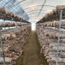 정암농장 이미지