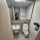 동안보건소 화장실 | 안양 동안구 비산동 평촌자이아이파크 아파트 화장실 청소 작업 후기