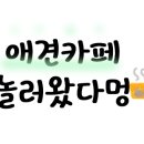 애견카페,애견유치원 멍선생 이미지