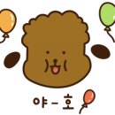 영희랑바둑이랑애견미용실 이미지