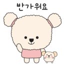 부가레더