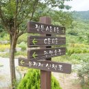 편백연 관광농원 이미지