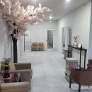 강아지 나라 이미지