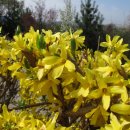 한진농장 이미지