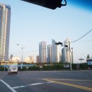 온나펫 | 부산 최대의 애견박람회 케이펫페어 참가 후기 :: 해피팡팡 수제간식