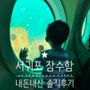 천지연약국 | 제주도[서귀포잠수함] 내돈내산 솔직후기 (feat.부모님,두돌아기)