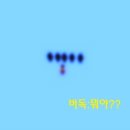 메이터