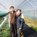 참농농장 이미지