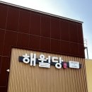 유명꽃마을 | 대신동 카페 맛집 추천 꽃마을 감성 '해월당' 후기