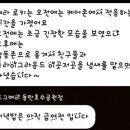 도그베이 동탄호수공원점 이미지