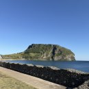 성산구 ⓒ-6 | 성산일출봉 카페 프릳츠 제주 성산점 우당땅과 플랫화이트