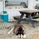 무지개레포츠 이미지