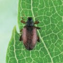 행복한세상 행정사사무소 이미지