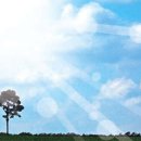 푸르른날 이미지