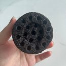 김밥천국 사북강원랜드점 | [태백 정선 삼척 여행] 걸프란?뽀씨 혼자 여행 쥬아한댜