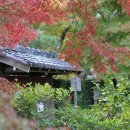 우리마포복지관 이미지