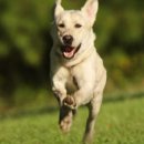 [2024 하반기 퇴근학습길] 경험으로 보는 이웃나라 일본 | 왜 주목받는가?