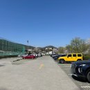 윤슬농장 | 남양주 벚꽃 명소 물의정원 실시간 개화 정보 후기 주차