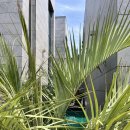 에다모니아 E05 이미지