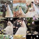 엘로디 | W5. 아이폰스냅 :: 엘로디스냅 계약후기, 짝꿍할인 꿀팁🥰