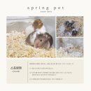 스프링 햄스터 이미지