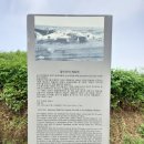 2020 여자 혼자 여름휴가 In JeJu 03.