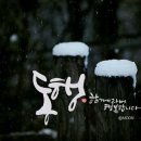 스토리플래너