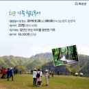 힐링투어 Daum카페