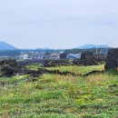 한동환해장성 이미지