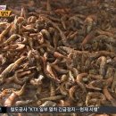 육회&달인 이미지