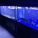 (주)한국타이어제철판매 | 남산광어｜강민경 광어 소금김밥, 한남동 제철 해산물 방어 맛집 (예약, 웨이팅, 주차, 콜키지)