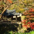 천명유도관 | 정자詩로 만난 인물-유도관(柳道貫)