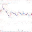 에이치엔바이오텍 | (25-09-04) 공시 정리