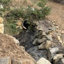 공주산속펜션 이미지