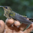 부리농장 이미지