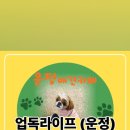 업 독 라이프 이미지