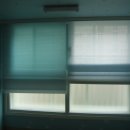 새롬코리아 이미지