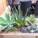 양재초등학교 이미지