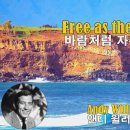 Free as the Wind (바람처럼 자유롭게)........... 이미지